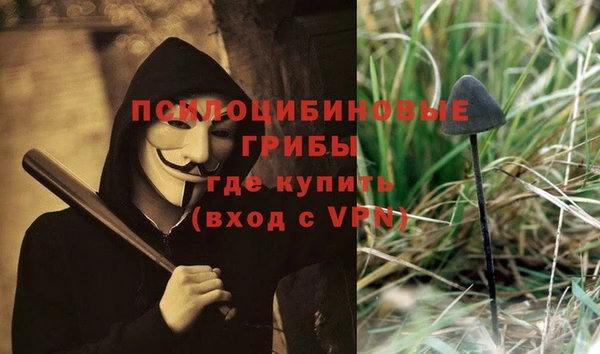 гидропоника Лиски