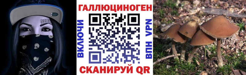 Псилоцибиновые грибы Psilocybine cubensis Урюпинск