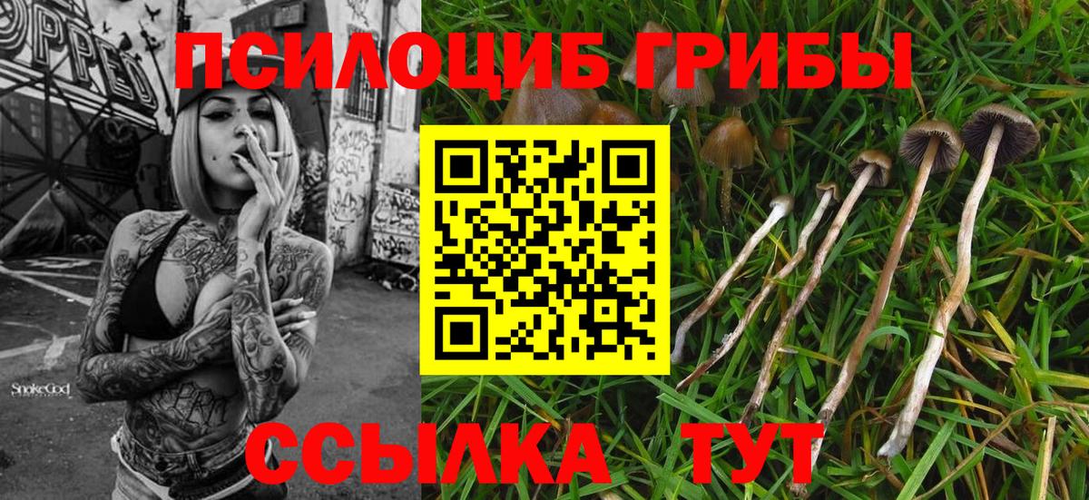 Урюпинск  Галлюциногенные грибы мицелий  Галлюциногенные грибы мухоморы  Вход с VPN 