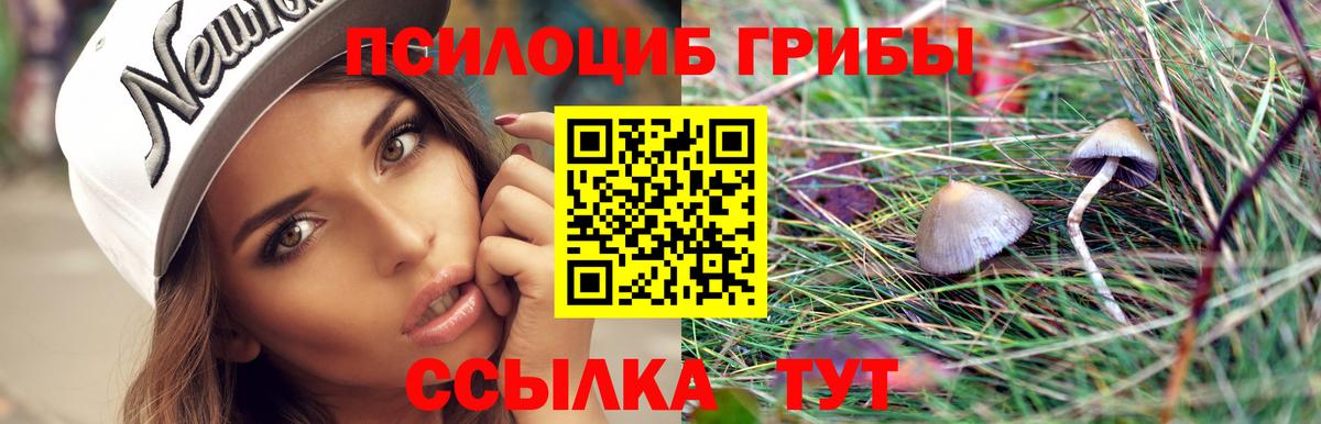 Псилоцибиновые грибы мухоморы Урюпинск