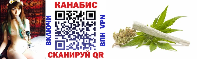 Конопля сатива  Урюпинск 
